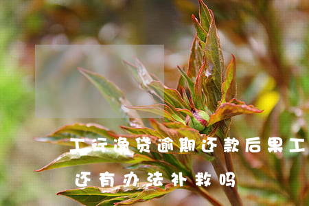 工行逸贷逾期还款后果(工商银行贷款逾期了还有办法补救吗?)
