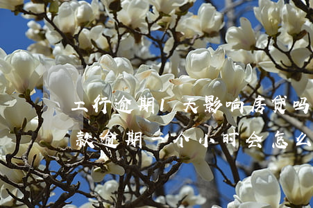 工行逾期1天影响房贷吗(工商银行还房贷还款逾期一个小时会怎么样)
