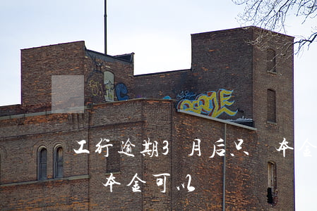 工行逾期3月后只還本金 工行逾期3月后只還本金可以嗎
