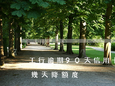 工行逾期90天信用卡解凍（工行信用卡逾期幾天降額度）