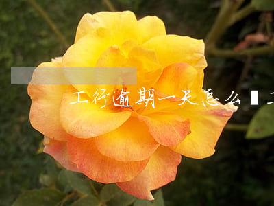 工行逾期一天怎么辦(工行貸款逾期一周)