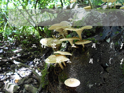 工行逾期三個月發(fā)的是什么快遞(工行逾期三個月發(fā)的是什么快遞)