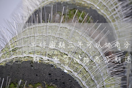 工行逾期三年可以协商分期还款吗-工行逾期三年可以协商分期还款吗