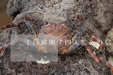 工行逾期了四天怎么办信用卡