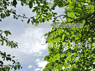 工行逾期分期還款利息