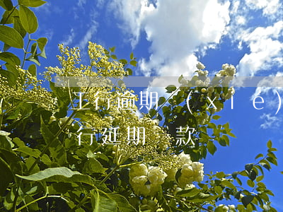 工行逾期協(xié)商還款太難了(工商銀行延期還款)