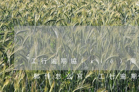 工行逾期協(xié)商還款要發(fā)郵件怎么寫-工行逾期協(xié)商還款要發(fā)郵件怎么寫通知