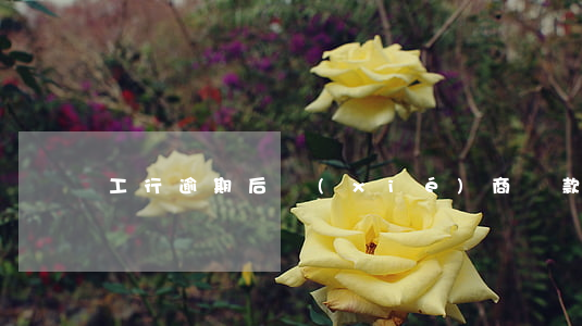 工行逾期后協(xié)商還款