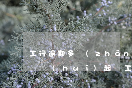 工行逾期多長(zhǎng)時(shí)間會(huì)起訴 工商銀行多久會(huì)起訴
