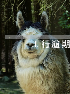 工行逾期如何協(xié)商多久起訴