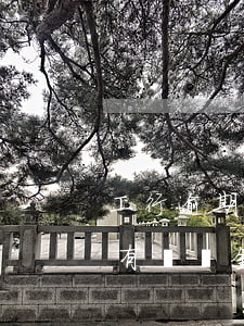 工行逾期有滯納金會不良記錄嗎-工行逾期有滯納金會不良記錄嗎怎么辦