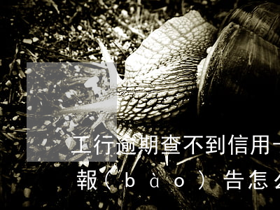 工行逾期查不到信用卡信息(工行查詢的信用報(bào)告怎么看不了)