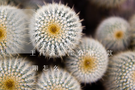 工行逾期能分期還款嗎(銀行貸款分期還款逾期怎么辦)