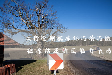工行逾期被冻结还清还能开卡吗-工行逾期被冻结还清还能开卡吗