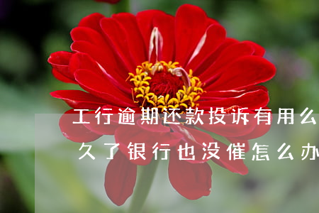 工行逾期还款投诉有用么(工商信用卡逾期很久了,银行也没催怎么办?)