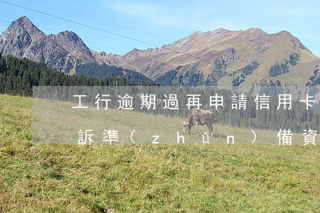 工行逾期過再申請信用卡（工行信用卡逾期起訴準(zhǔn)備資料）