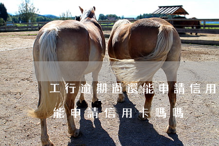 工行逾期過還能申請信用卡嗎(工行逾期過還能申請信用卡嗎嗎)
