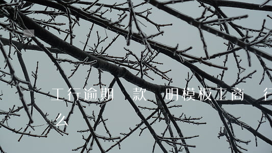 工行逾期還款證明模板(工商銀行還款證明怎么開)
