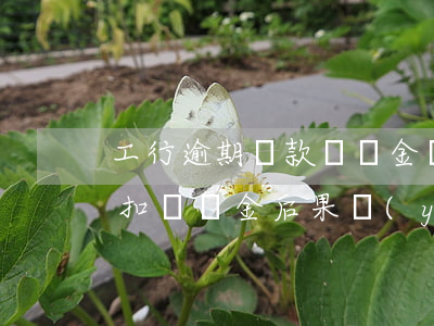 工行逾期還款違約金嗎(工行信用卡逾期兩天扣違約金后果嚴(yán)重嗎)
