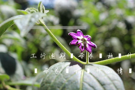 工行逾期顯示呆賬核銷什么情況-工行逾期顯示呆賬核銷什么情況呢