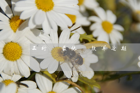 工行還最低還款算逾期嗎(工商銀行最底還款)