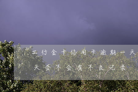 工行金卡信用卡逾期一天(工行信用卡逾期一天会不会有不良记录)