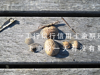 工行银行信用卡逾期还款一天(工商银行信用卡逾期一天有没有影响?)