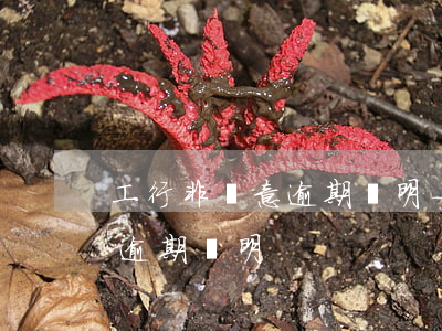 工行非惡意逾期證明-銀行怎么能開非惡意逾期證明