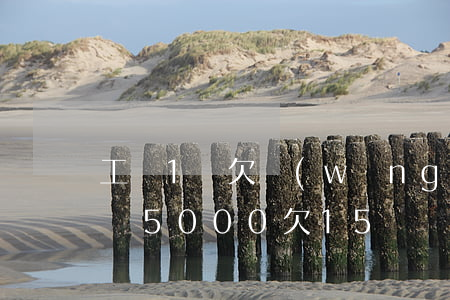 工資1萬欠網(wǎng)貸5萬怎么還(工資5000欠15萬網(wǎng)貸)