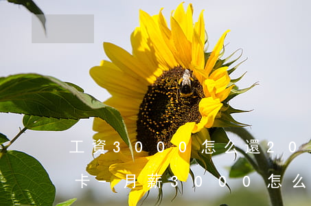 工資3000怎么還20萬(wàn)信用卡-月薪3000怎么還20萬(wàn)信用卡