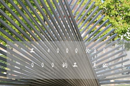 工資4000欠20萬網(wǎng)貸(4000的工資怎么還20萬的網(wǎng)貸)