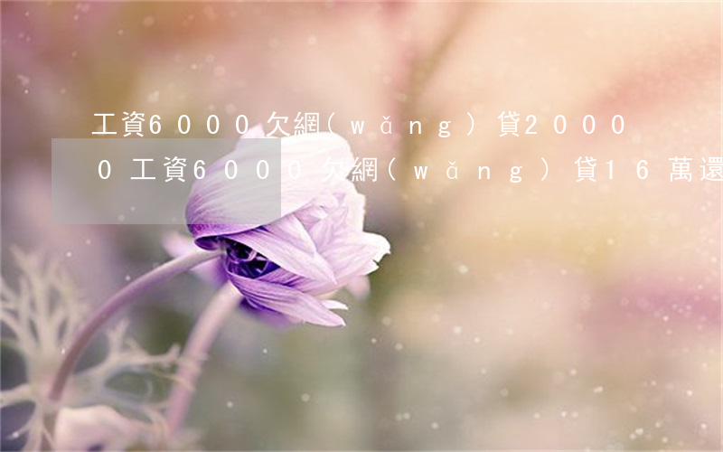 工資6000欠網(wǎng)貸20000(工資6000欠網(wǎng)貸16萬還能還清嗎)