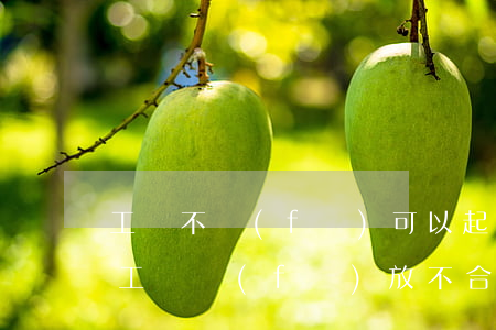 工資不發(fā)可以起訴嗎(如何起訴公司工資發(fā)放不合理)