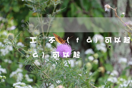 工資不發(fā)可以起訴嗎(工資不發(fā)可以起訴嗎)