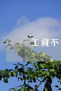 工資不發(fā)怎么起訴