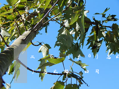 工資不發(fā)怎么起訴(工資不發(fā)怎么起訴公司)