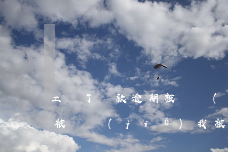 工資了貸款逾期被凍結(jié)(公司賬戶被凍結(jié)我被拖欠工資)