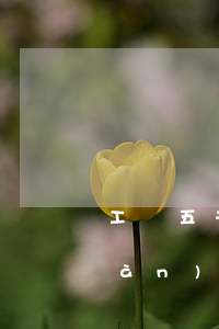 工資五千欠網(wǎng)貸分期三萬(wàn)怎么辦(欠了三萬(wàn)多網(wǎng)貸怎么辦)