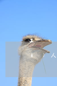 工資個(gè)人所得稅怎么算(工資個(gè)人所得稅怎么算2021計(jì)算器)