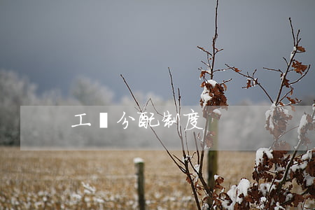 工資分配制度