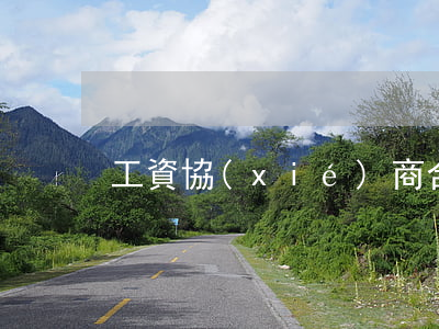 工資協(xié)商合同