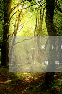 工資卡被法院凍結(jié)可以補(bǔ)辦嗎(被法院凍結(jié)銀行卡工資卡還能領(lǐng)工資嗎)