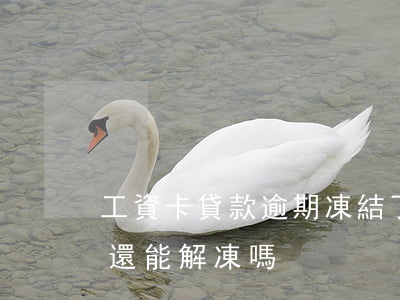 工資卡貸款逾期凍結了(貸款逾期卡被凍結了,還能解凍嗎)