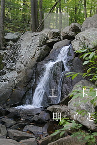 工資卡逾期了能分期還嘛-分期的信用卡逾期了怎么辦