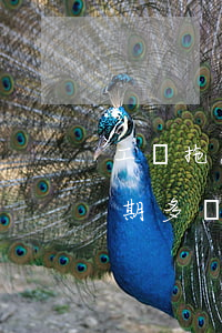 工資拖延導(dǎo)致我貸款逾期(貸款逾期多長(zhǎng)時(shí)間算惡意拖欠)