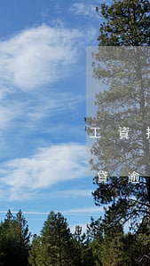 工資拖欠工資導(dǎo)致車(chē)貸逾期-拖欠車(chē)貸會(huì)怎么樣