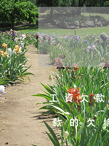 工資欠款條怎么寫(xiě)法律生效(工資款的欠條怎么寫(xiě))