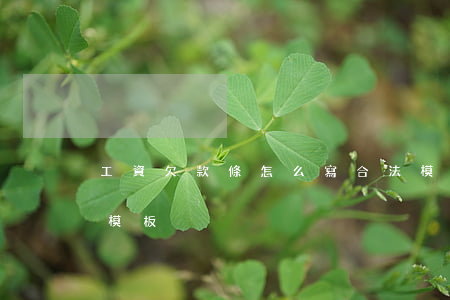 工資欠款條怎么寫合法模板(拖欠工資的欠條模板)