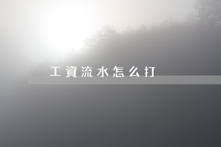 工資流水怎么打