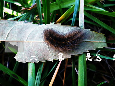 工資計算標準是怎樣的